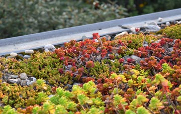 the cost of Uigshader green roof installation